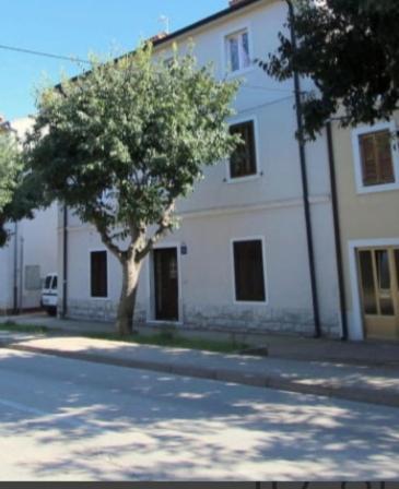 Pet Friendly Apartment Murvi 50 Novigrad  Ngoại thất bức ảnh